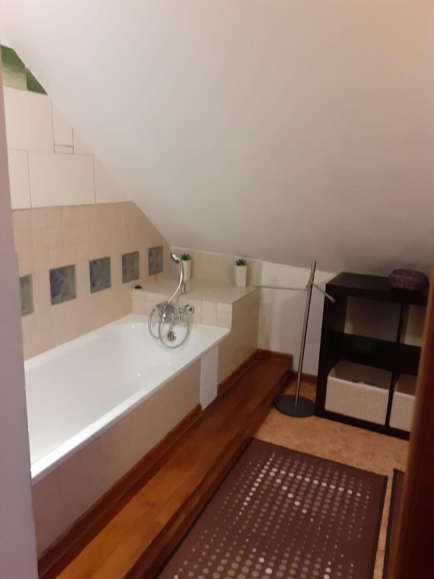 Apartament Atelier Spojovaci Czeski Krumlow Zewnętrze zdjęcie